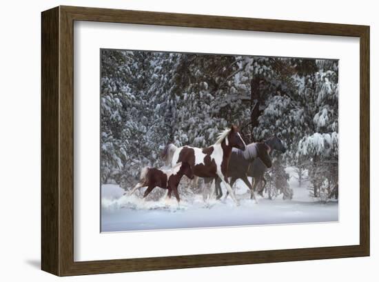 Snowy Runners-Steve Hunziker-Framed Art Print