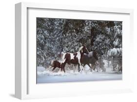 Snowy Runners-Steve Hunziker-Framed Art Print