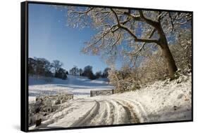 Snowy scene from Lower Brockhampton, Herefordshire, England, UK, December.-Will Watson-Framed Stretched Canvas