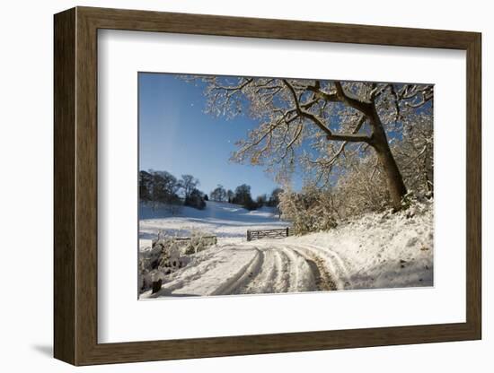 Snowy scene from Lower Brockhampton, Herefordshire, England, UK, December.-Will Watson-Framed Photographic Print