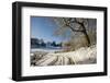 Snowy scene from Lower Brockhampton, Herefordshire, England, UK, December.-Will Watson-Framed Photographic Print