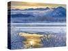 Snowy Scenery, Chilkat Bald Eagle Preserve, Alaska, USA-Cathy & Gordon Illg-Stretched Canvas