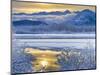 Snowy Scenery, Chilkat Bald Eagle Preserve, Alaska, USA-Cathy & Gordon Illg-Mounted Photographic Print