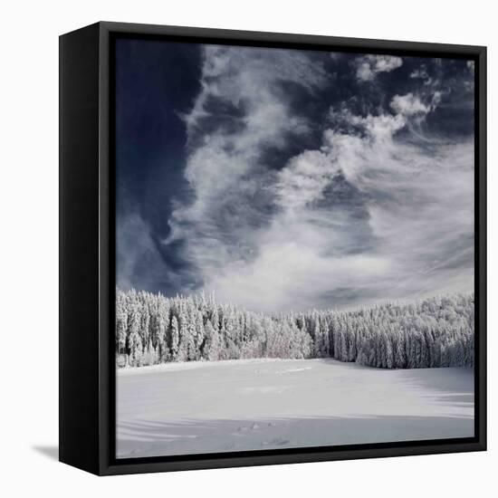 Snowy Sky-Philippe Sainte-Laudy-Framed Stretched Canvas