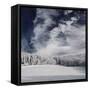 Snowy Sky-Philippe Sainte-Laudy-Framed Stretched Canvas