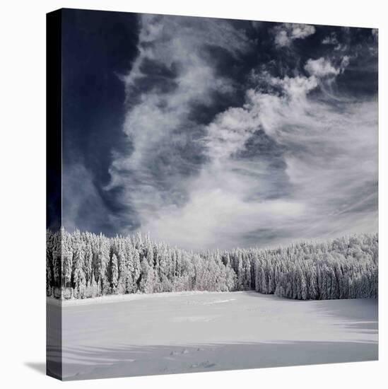 Snowy Sky-Philippe Sainte-Laudy-Stretched Canvas