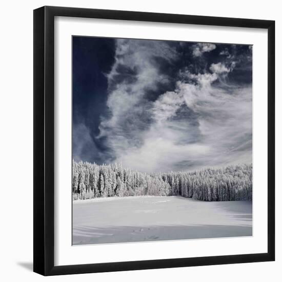 Snowy Sky-Philippe Sainte-Laudy-Framed Premium Photographic Print