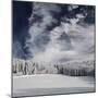 Snowy Sky-Philippe Sainte-Laudy-Mounted Photographic Print