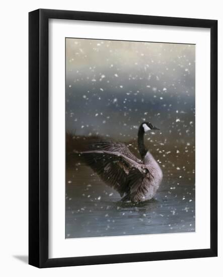Snowy Swim-Jai Johnson-Framed Giclee Print