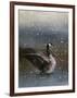 Snowy Swim-Jai Johnson-Framed Giclee Print