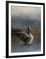 Snowy Swim-Jai Johnson-Framed Giclee Print