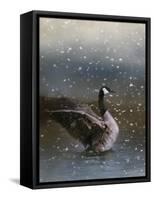 Snowy Swim-Jai Johnson-Framed Stretched Canvas