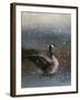 Snowy Swim-Jai Johnson-Framed Giclee Print