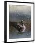 Snowy Swim-Jai Johnson-Framed Giclee Print