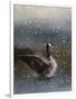 Snowy Swim-Jai Johnson-Framed Giclee Print