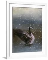 Snowy Swim-Jai Johnson-Framed Giclee Print