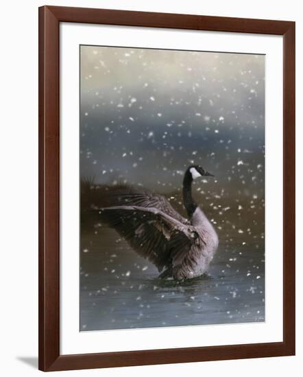 Snowy Swim-Jai Johnson-Framed Giclee Print