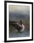 Snowy Swim-Jai Johnson-Framed Giclee Print