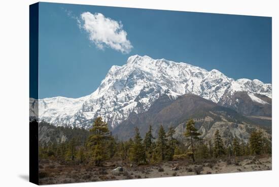 Snowy Tibetan Mountains-Vakhrushev Pavel-Stretched Canvas
