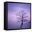 Snowy Tree in A Winter Twilight-gestockphoto-Framed Stretched Canvas