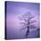 Snowy Tree in A Winter Twilight-gestockphoto-Stretched Canvas