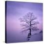 Snowy Tree in A Winter Twilight-gestockphoto-Stretched Canvas