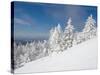 Snowy Trees on the Slopes of Mount Cardigan, Canaan, New Hampshire, USA-Jerry & Marcy Monkman-Stretched Canvas