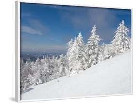 Snowy Trees on the Slopes of Mount Cardigan, Canaan, New Hampshire, USA-Jerry & Marcy Monkman-Framed Photographic Print