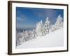 Snowy Trees on the Slopes of Mount Cardigan, Canaan, New Hampshire, USA-Jerry & Marcy Monkman-Framed Photographic Print