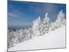 Snowy Trees on the Slopes of Mount Cardigan, Canaan, New Hampshire, USA-Jerry & Marcy Monkman-Mounted Photographic Print