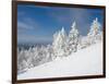 Snowy Trees on the Slopes of Mount Cardigan, Canaan, New Hampshire, USA-Jerry & Marcy Monkman-Framed Photographic Print