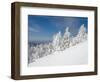 Snowy Trees on the Slopes of Mount Cardigan, Canaan, New Hampshire, USA-Jerry & Marcy Monkman-Framed Photographic Print