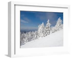 Snowy Trees on the Slopes of Mount Cardigan, Canaan, New Hampshire, USA-Jerry & Marcy Monkman-Framed Photographic Print