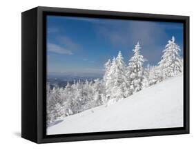 Snowy Trees on the Slopes of Mount Cardigan, Canaan, New Hampshire, USA-Jerry & Marcy Monkman-Framed Stretched Canvas