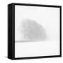 Snowy Trees-Doug Chinnery-Framed Stretched Canvas