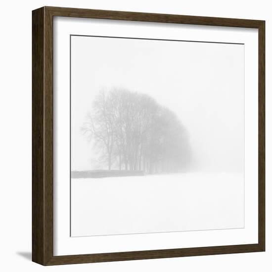 Snowy Trees-Doug Chinnery-Framed Photographic Print