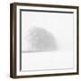 Snowy Trees-Doug Chinnery-Framed Photographic Print