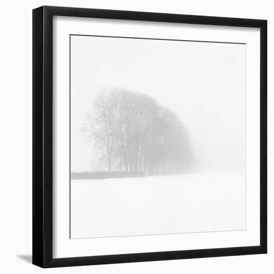 Snowy Trees-Doug Chinnery-Framed Photographic Print