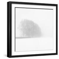 Snowy Trees-Doug Chinnery-Framed Photographic Print