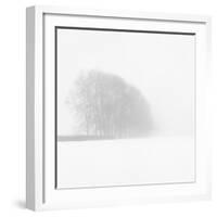 Snowy Trees-Doug Chinnery-Framed Photographic Print