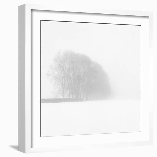 Snowy Trees-Doug Chinnery-Framed Photographic Print