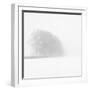 Snowy Trees-Doug Chinnery-Framed Photographic Print