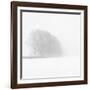 Snowy Trees-Doug Chinnery-Framed Photographic Print