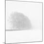 Snowy Trees-Doug Chinnery-Mounted Photographic Print