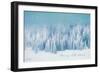 Snowy Turquoise Forest-Lori Deiter-Framed Art Print