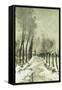 Snowy Vista-Paul Mathieu-Framed Stretched Canvas