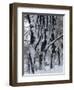 Snowy Weeping Willows, Trees and Fence, Oakland County, Michigan, USA-Claudia Adams-Framed Photographic Print