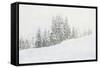 Snowy White Forest-null-Framed Stretched Canvas