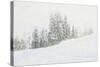 Snowy White Forest-null-Stretched Canvas