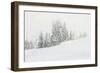 Snowy White Forest-null-Framed Photographic Print